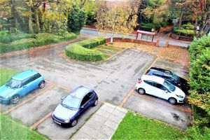 Photo 2- click for photo gallery